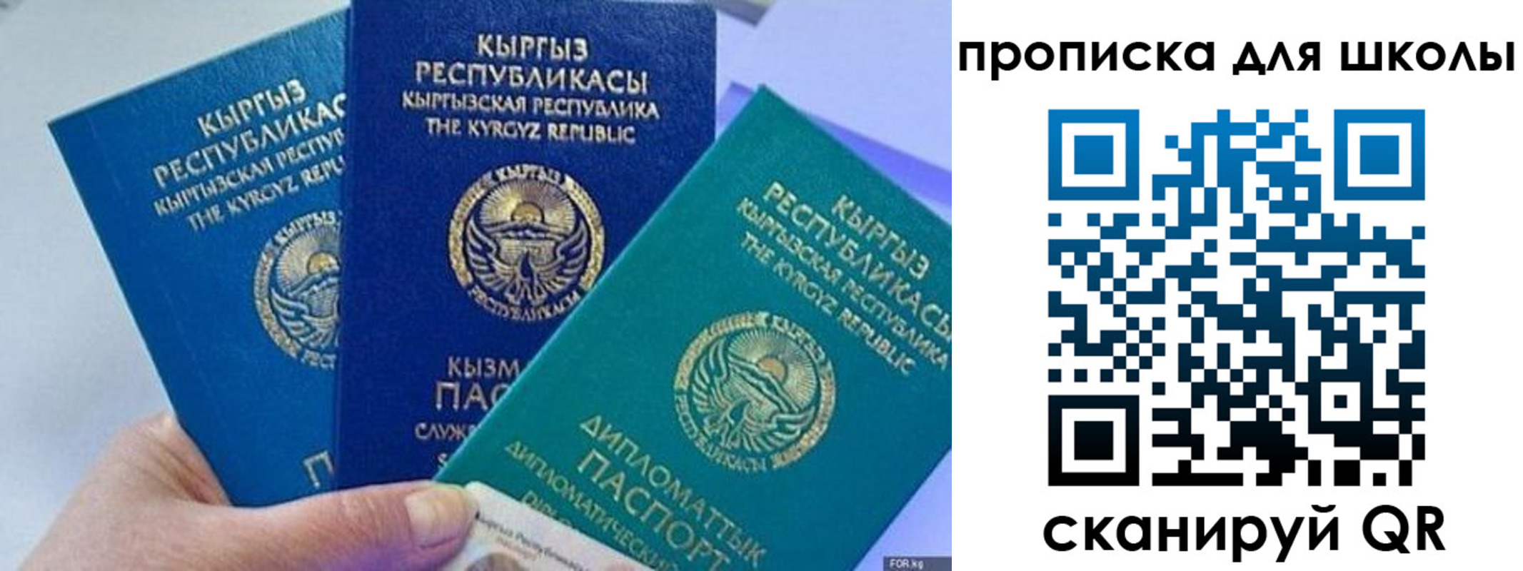 прописка регистрация в Звенигово